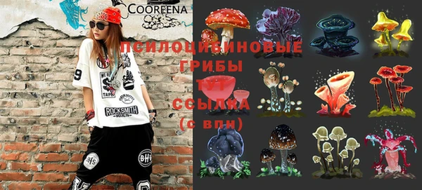 дживик Лихославль