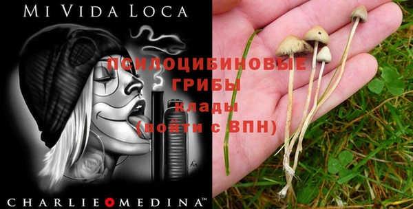 mdma Липки