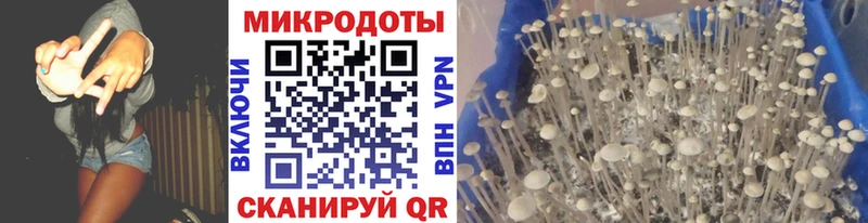 Купить где  Нязепетровск  Псилоцибиновые грибы прущие грибы 